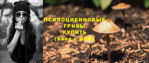 альфа пвп Гусиноозёрск