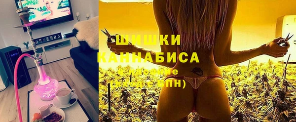 альфа пвп Гусиноозёрск