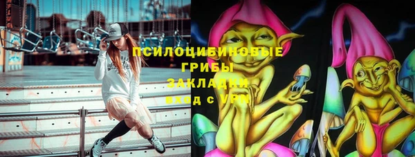 прущая мука Дмитров
