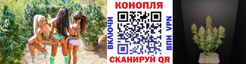 купить   Нефтеюганск  МАРИХУАНА Amnesia 